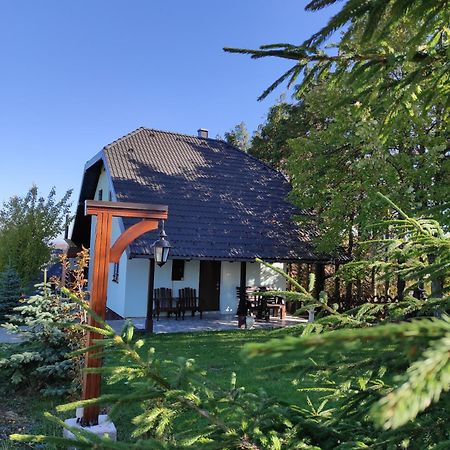 Vila Hajdi Planina Tara Баїна-Башта Екстер'єр фото