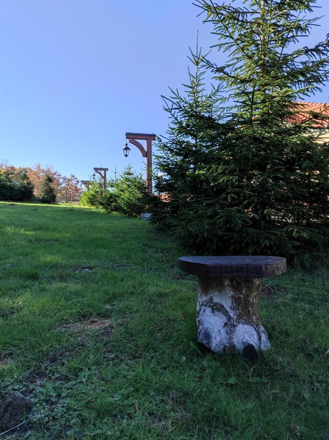 Vila Hajdi Planina Tara Баїна-Башта Екстер'єр фото