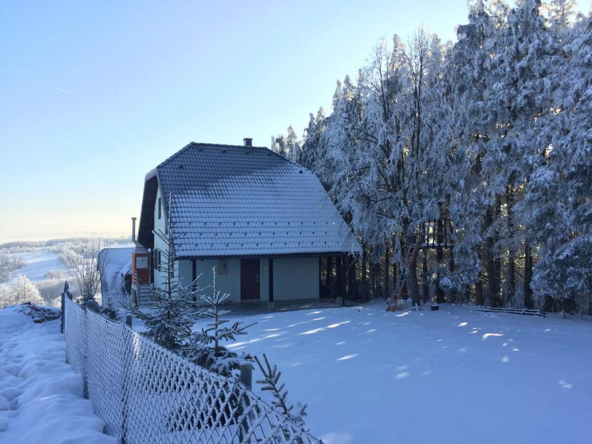 Vila Hajdi Planina Tara Баїна-Башта Екстер'єр фото