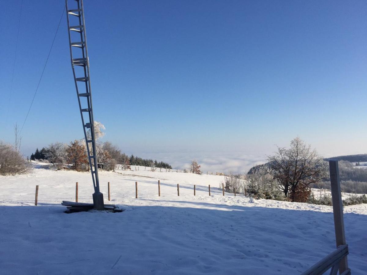 Vila Hajdi Planina Tara Баїна-Башта Екстер'єр фото